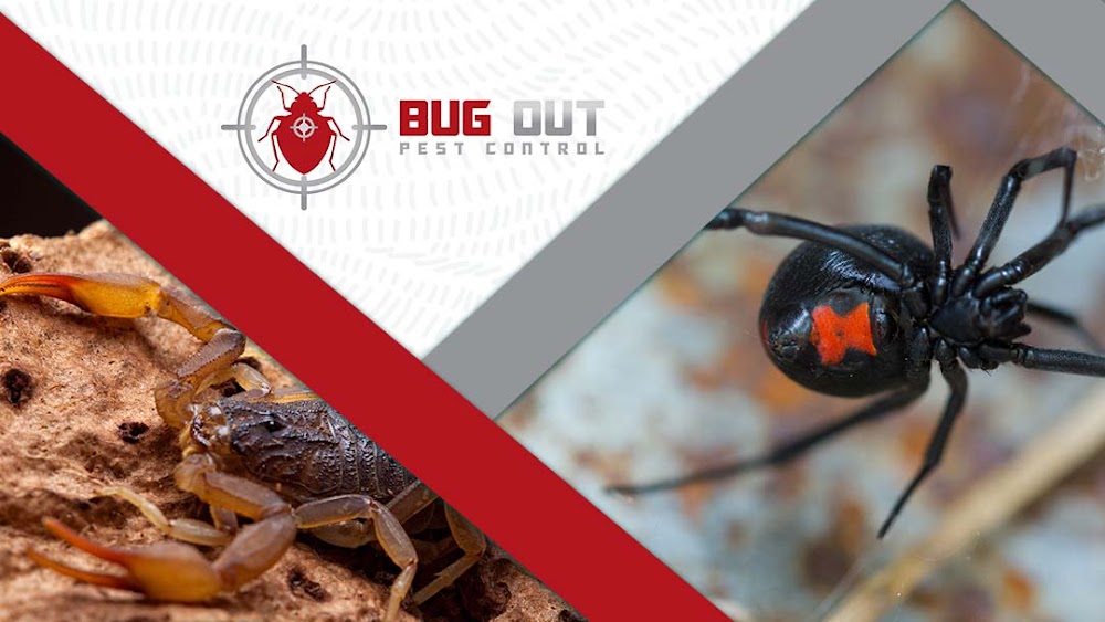 Bug Out Pest Control